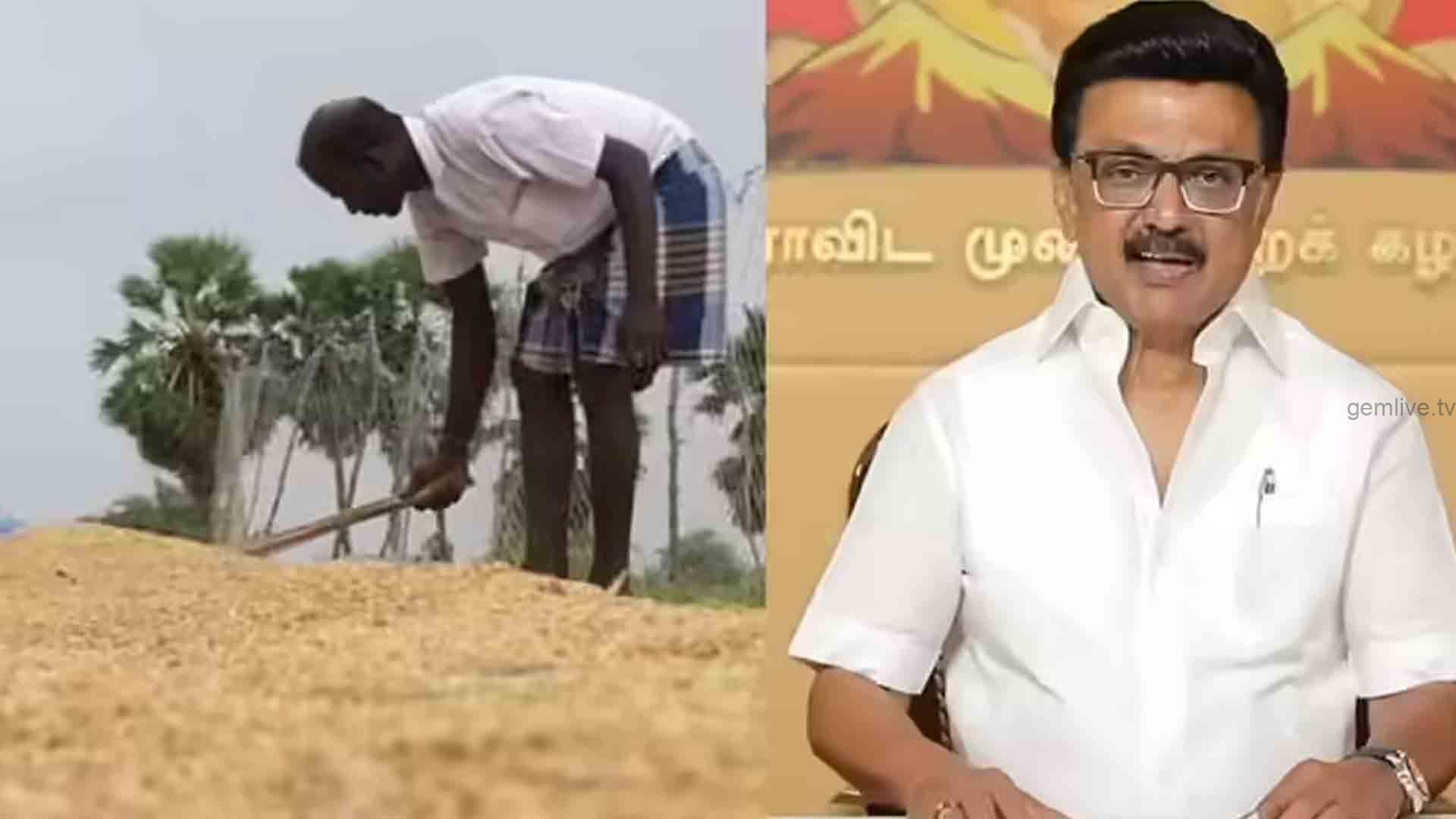 நெல் கொள்முதலில் ஈரப்பதம் தளர்வு தொடர்பான கோரிக்கை நிராகரிப்பு.!