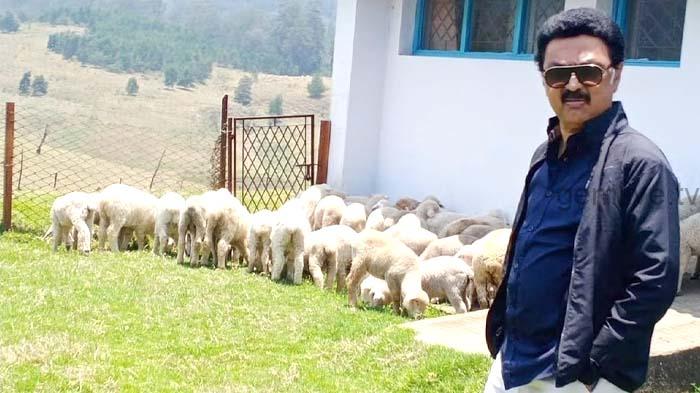 முதல்வர் கொடைக்கானல் சுற்றுப்பயணம்…….!