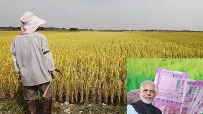 விவசாயிகளின் வருமானத்தை உயர்த்த மத்திய அமைச்சரவை நடவடிக்கை..!