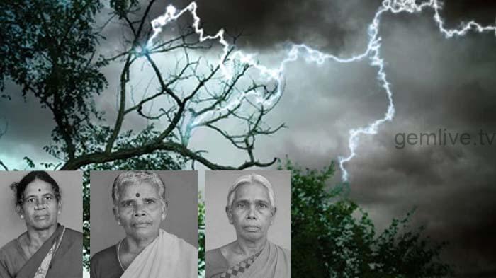 மின்னல் தாக்கி ஒரே குடும்பத்தைச் சேர்ந்த மூவர் பலி – உசிலம்பட்டியில் சோகம்.