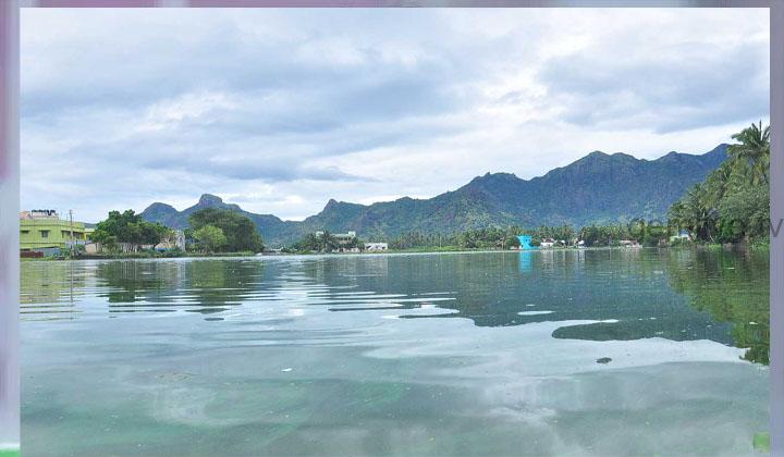 Kanyakumari : தொடர் கனமழை: ரப்பர் தொழில் கடுமையாகப் பாதிப்பு.!